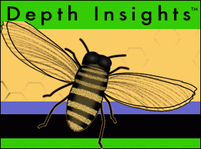 Depth Insights logo