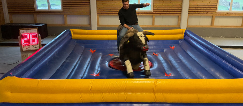 JETZT NEU: BULLRIDING IM FREIZEITPARK BEHAMBERG - AUCH FÜR DEINEN EVENT!