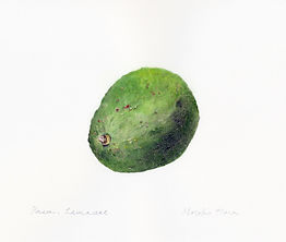 Avocado