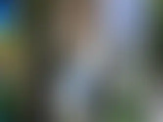 The 8 Most Beautiful Waterfalls in Hawaii You Must Visit