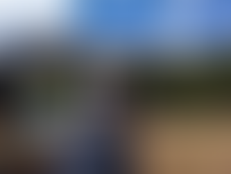 Litecoin Revs Up at Colorado DMV: Driving the Future of Payments