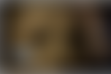 Virginia Senate vote 39 to 0 to allow banks to custody Virtual Currencies like Litecoin