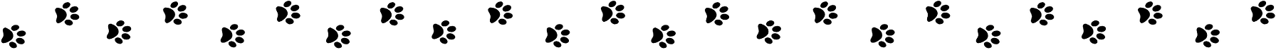 pattes