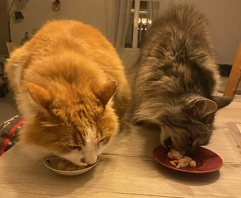Chonchon et titi