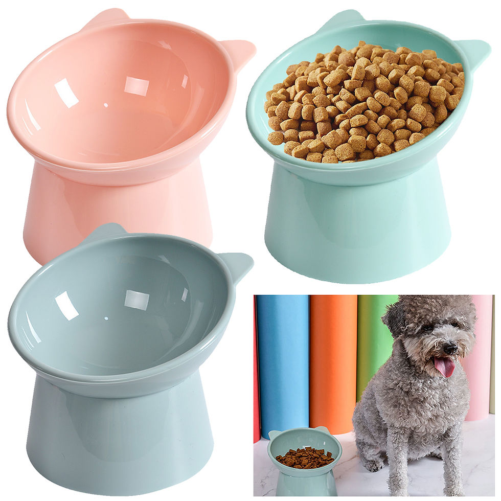 Thumbnail: Ergonomic Anti-Vomiting Tilted Cat Bowl