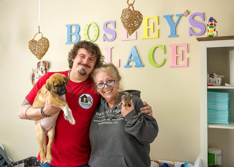bosleys_place-02