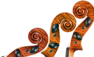violin-blur-shadow_edited.png