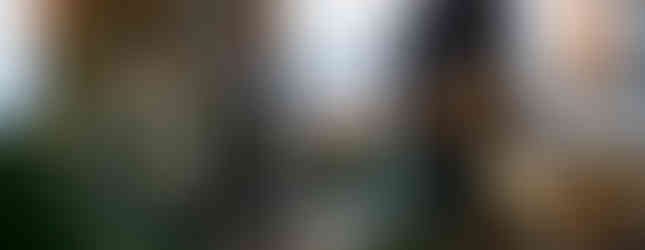 北海道, 中富良野町, 観光, 移住, おすすめ, パン屋さん, 天然酵母, PeaceGardenパン酵房