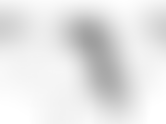 誰の言葉に耳を傾けるか？, セルフコーチング, ルー・タイス, 苫米地英人