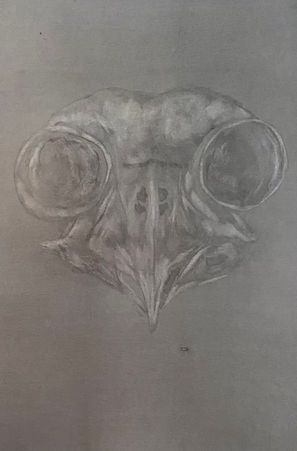image6.jpeg