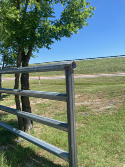 image2 (4)
