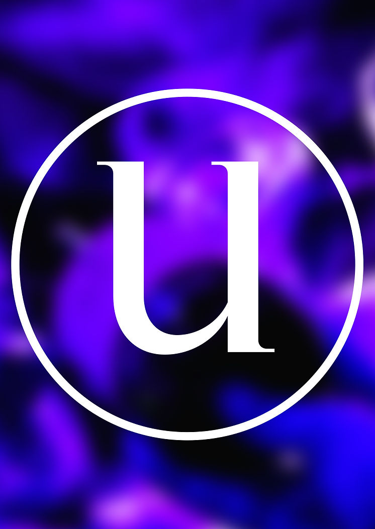 logou3.jpg
