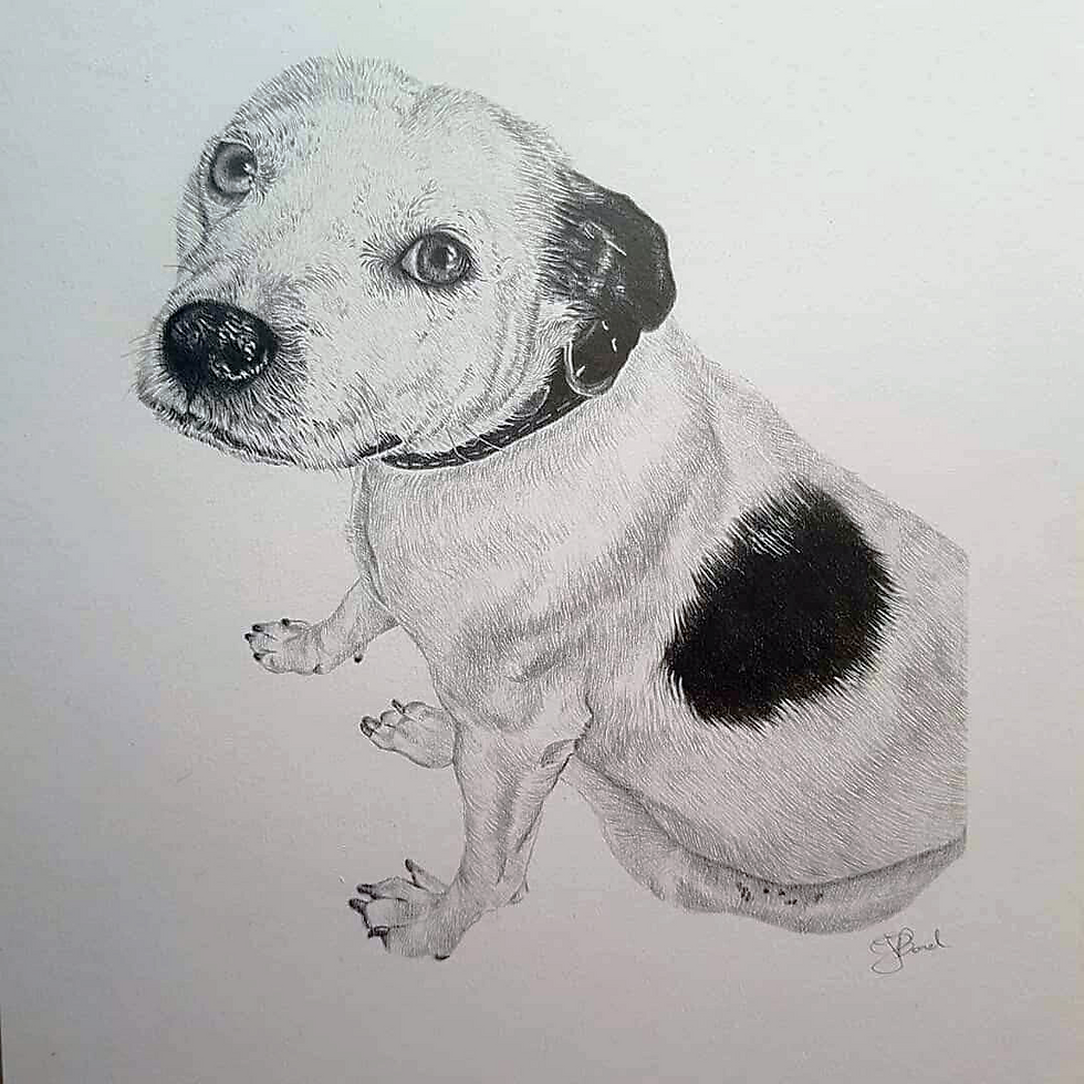 Graphite on A4