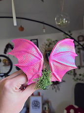 20260314_095703.jpg