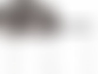 De las ONG está empedrado el camino al infierno