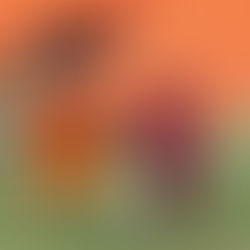 Águila consigue un empate agónico ante Cacahuatique