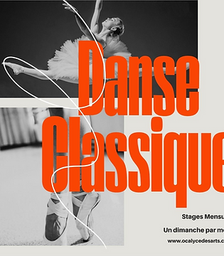 Danse classique_edited.png