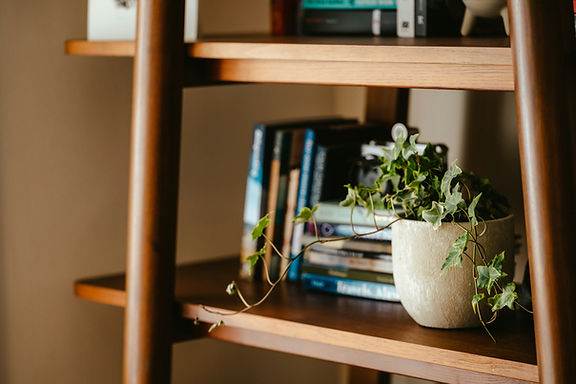 Book shelf with a plant and stacked books at therapy office