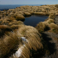 Mount Holdsworth