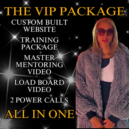 THE VIP PACKAGE