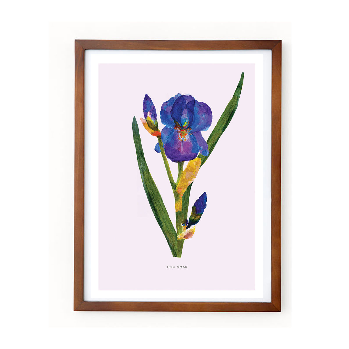 Iris Botanical Eco Art Print