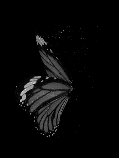 856.gif