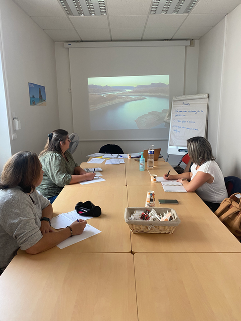 Attitude Formation 1