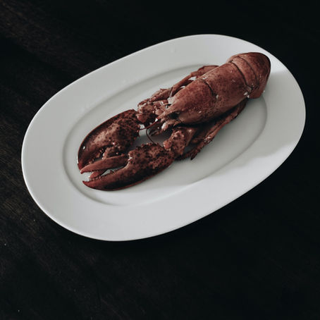 Auditions for "Dinner" by Moira Buffini