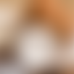 Coco, seria uma fruta só de verão?