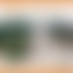 O rio segue seu curso…