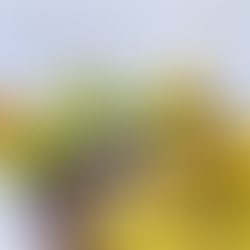 Carambola, um toque de beleza em seu prato