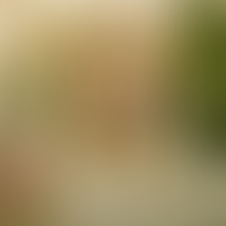 Menopausa: o maior risco silencioso para a saúde da mulher não é o calorão — é o coração