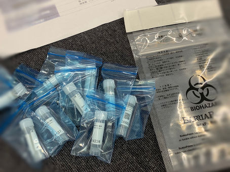 社内PCR検査