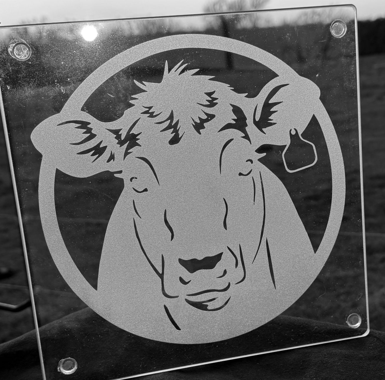 Cow with ear tag - Cutting Board