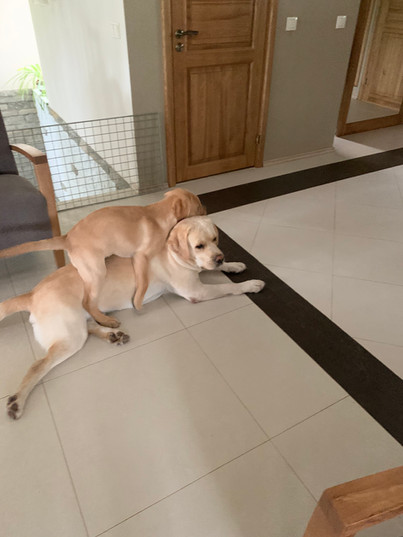 image00001.jpeg