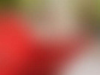 Вывоз мусора контейнерами разных кубов: Москва и МО