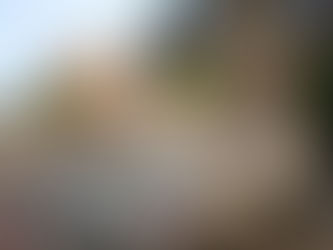 Уборка и вывоз мусора в Москве