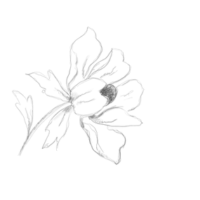 12.png