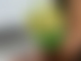 現在の空き状況(3/10)