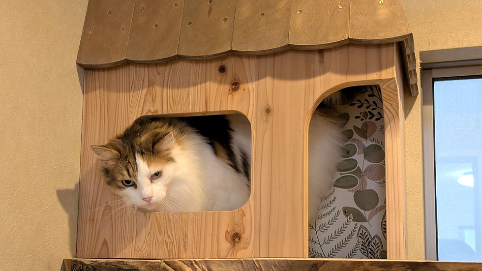 窓から「いらっしゃいませ。」