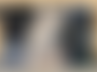  はじまりの、キャットタワー。