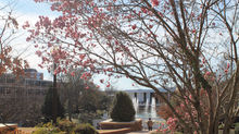 Clemson's Campus