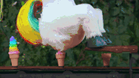 b34fe979ce747107f071f245f8c695c2d7091a0f_hq.gif