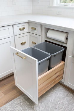 Kitchen Cabinet Storage & Organization I