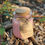Thumbnail: Soybean  Candle On Jasmine Wings