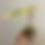 Thumbnail: Philodendron Jennifer Cutting