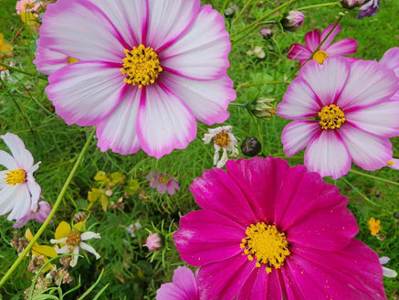 Santé émotionnelle et santé physique