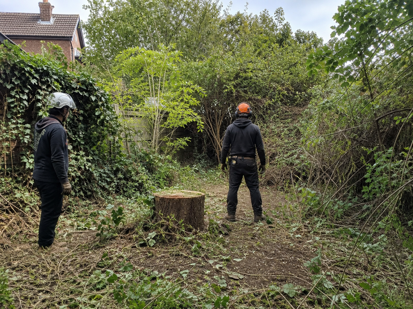 Overgrown Garden Clearance in Leicestershire and Nottinghamshire: What to Remove Before You Can Use the Space Again