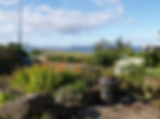 View from the garden summer 2012