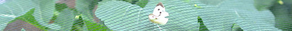 netting-crop-cover